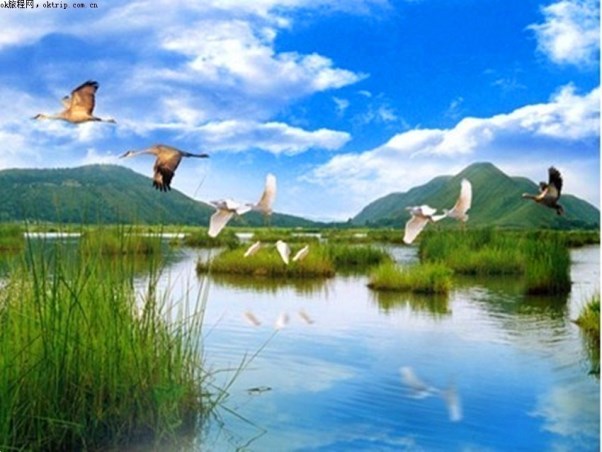 騰沖