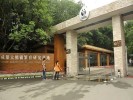 成都熊貓基地、三星堆純玩1日游大團