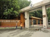 成都熊貓基地、三星堆純玩1日游大團