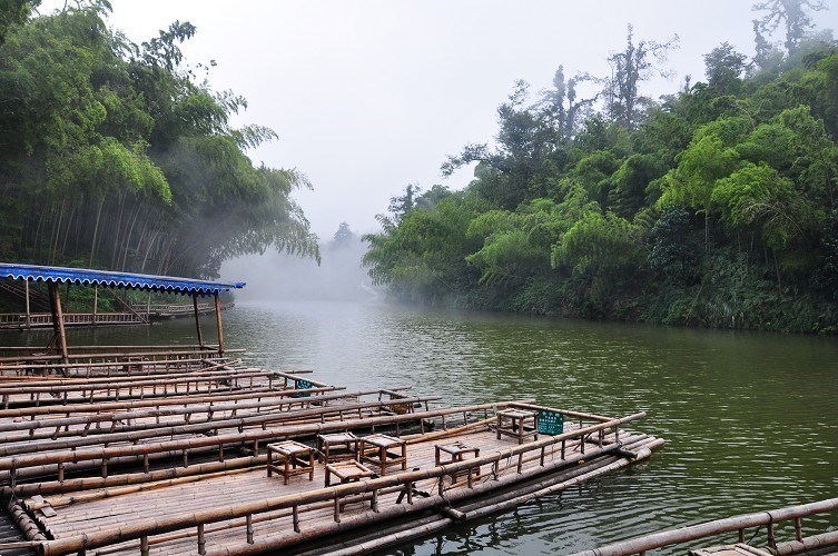蜀南竹海-處處有美景，處處有詩意，處處包含著竹的清香