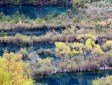 樹(shù)正群海