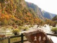 盆景灘