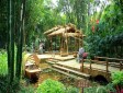 望江樓公園