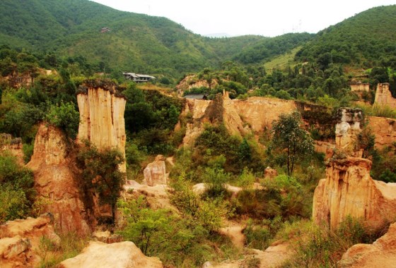 黃聯土林