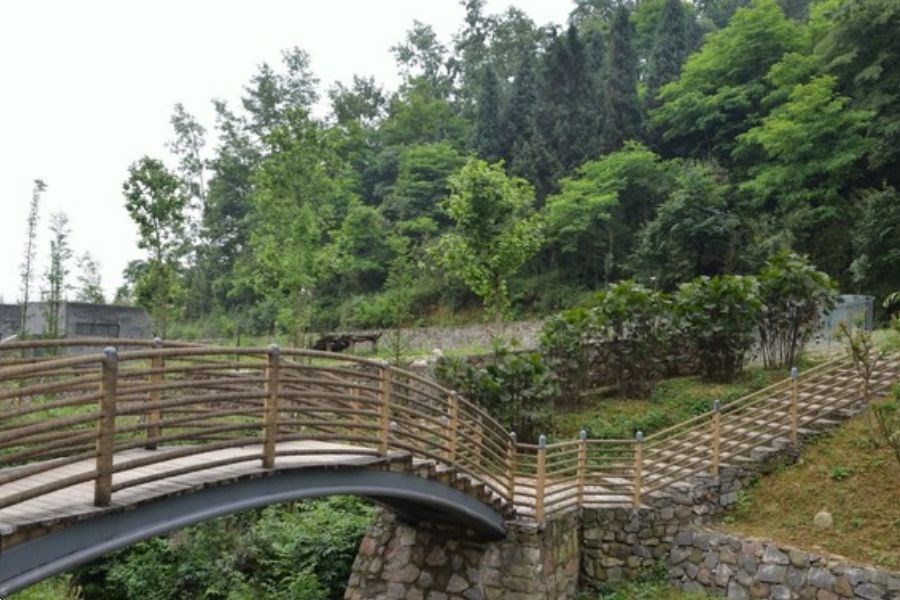 熊貓樂(lè)園