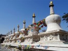 希拉穆仁草原、響沙灣、成吉思汗陵旅游區(qū)雙飛5日游