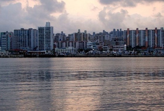 浦項市