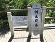 樹(shù)正群海