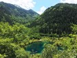 樹(shù)正群海