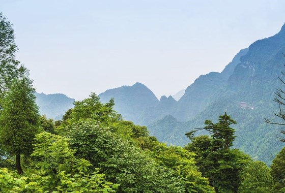 華嚴頂