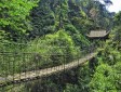 峨眉山自然生態猴區