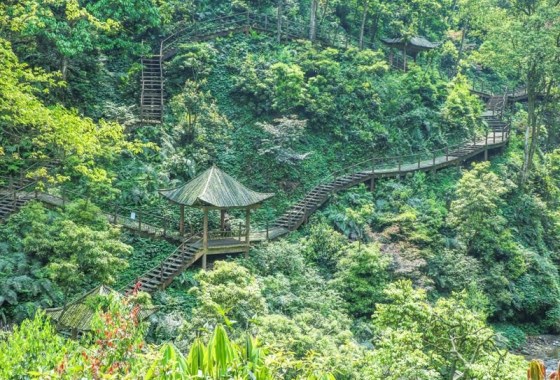峨眉山自然生態猴區