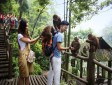 峨眉山自然生態猴區