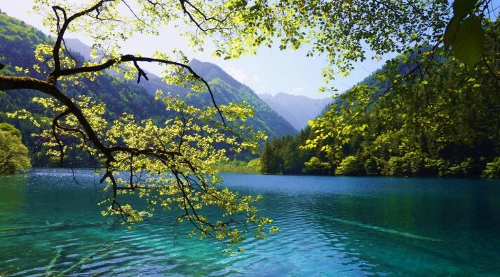 發(fā)現(xiàn)九寨溝的美，來(lái)一場(chǎng)鏡海無(wú)憂(yōu)無(wú)慮的旅行
