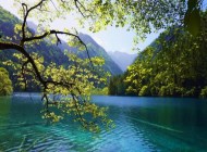 發(fā)現九寨溝的美，來一場鏡海無憂無慮的旅行