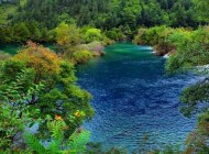 翠海疊瀑無(wú)限美，九寨溝樹(shù)正群海動(dòng)人心弦