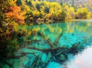 五花海，九寨溝之旅必去之地