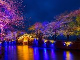 華東四市、迪斯尼歡樂雙飛6日游