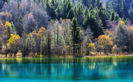 暢游九寨溝，這三大景點(diǎn)不可錯(cuò)過